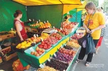 Фрукти у пилу торгівля біля доріг загрожує здоров’ю, АІФ Новосибірськ пилу