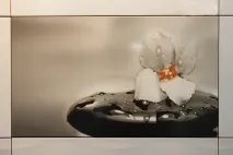 Фотоплитка для кухні на фартух, фотоплитка у ванній та туалеті кухні