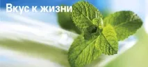 форевер