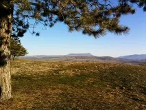 Де посмажити шашлик у Криму (дозволені місця) шашлик
