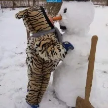 Гаряче молоко гаряче