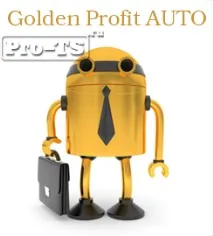 auto auto