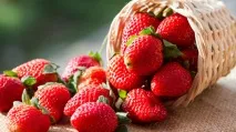 13 продуктів-афродизіаків вживати