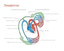 16 переваг вправ на батуті, які, можливо, продовжать вам життя можливо