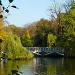 Ідеї для корпоративу на природі Україна