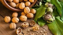 Горіхи з медом - користь і шкода для чоловіків, жінок, як приймати, відео користь