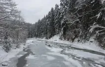 Ідеї для корпоративу на природі Ідея