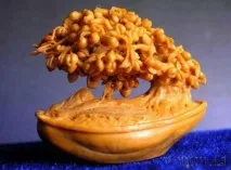 костилки хайдао