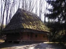 Ідеї для корпоративу на природі Ідея