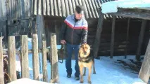шукаю