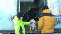 тебе