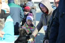 тебе