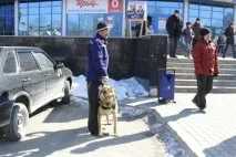 акції