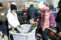 шукаю