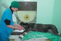 През същата biocontrol