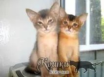 състояние