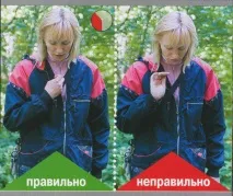 навчити