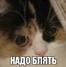 достатъчно спете