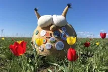 изградим изградим