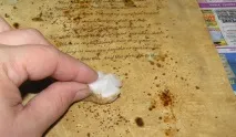 текст