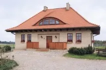Як прибрати висоли з облицювальної цегли. висоли