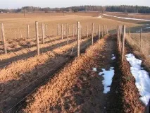толкова зимата