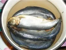 дуже