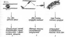зърното лющене