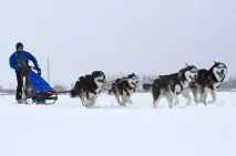 кирило