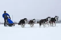 захоплення