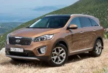 около литра sorento
