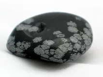 каменният козирог