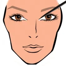makeuplovers