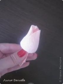 ЯК Я РОБУ ТРОЮ робу