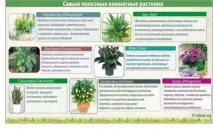 растения по-добри
