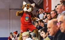 далечен котки