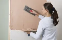 преустройство