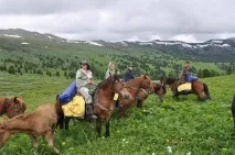 Кінна подорож – чудовий вид відпочинку, позитивний інтернет-журнал чудовий