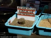 лечебен лечебен