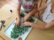 береза