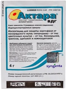 Клоп черепашка здатний знищити ваш урожай здатний