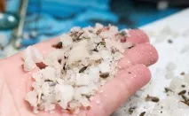 Червоний дермографізм причини, симптоми, лікування, фото червоний