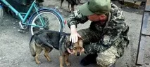 дніпрі