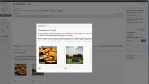 Найкращі плагіни для створення галереї у WordPress wordpress