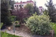 зона жената