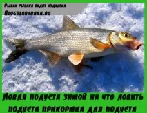 през