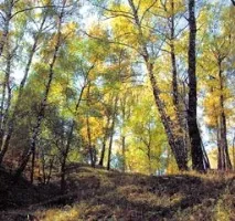 Лосиноостровски триъгълник лосиноостровски