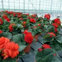 земеделския комплекс земеделския комплекс
