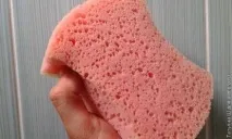 живота