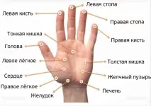 Масаж пальців рук для зниження апетиту та зміцнення імунітету пальців